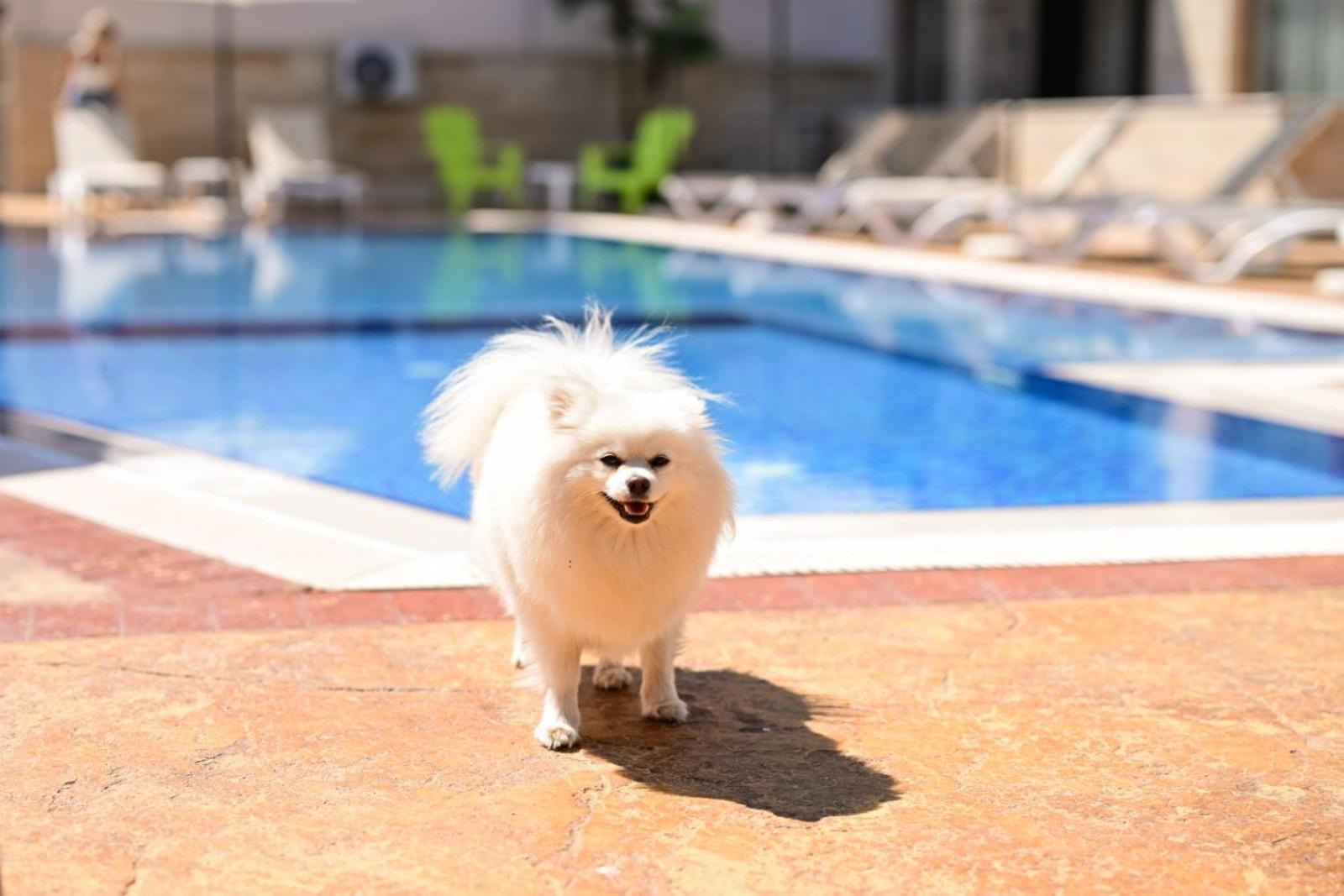 Kristin Palace Obzor Ngoại thất bức ảnh